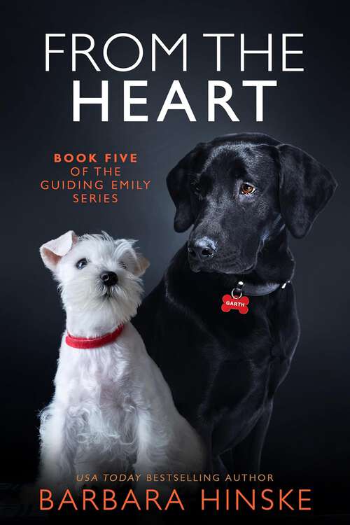 Book cover of From the Heart: Book Five of the Guiding Emily Series