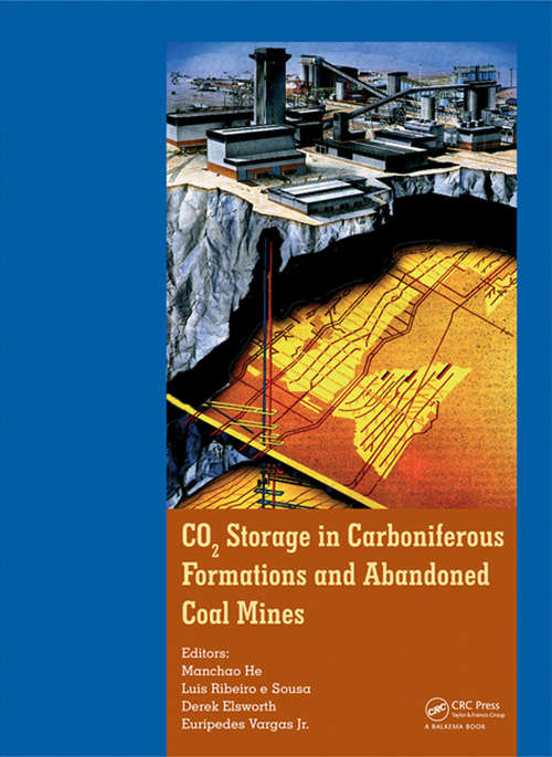 Book cover of CO2 Storage in Carboniferous Formations and Abandoned Coal Mines (1)