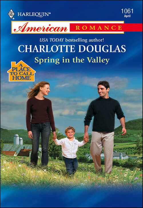 Book cover of Spring in the Valley (A Place to Call Home)