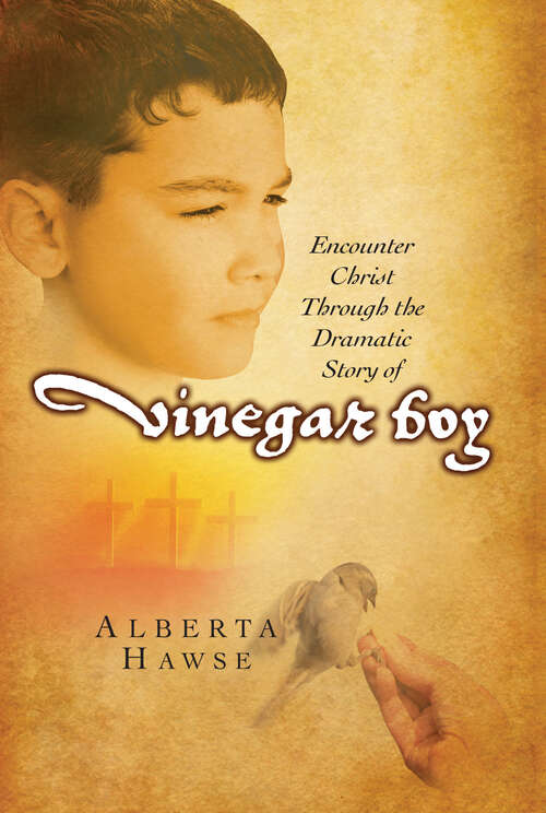 Book cover of Vinegar Boy: Encounter Christ Through the Dramatic Story of Vinegar Boy (New Edition)