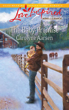 Book cover of The Baby Promise (Home on the Ranch #1)
