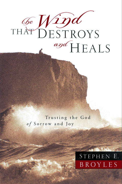 Book cover of The Wind that Destroys and Heal: Trusting the God of Sorrow and Joy