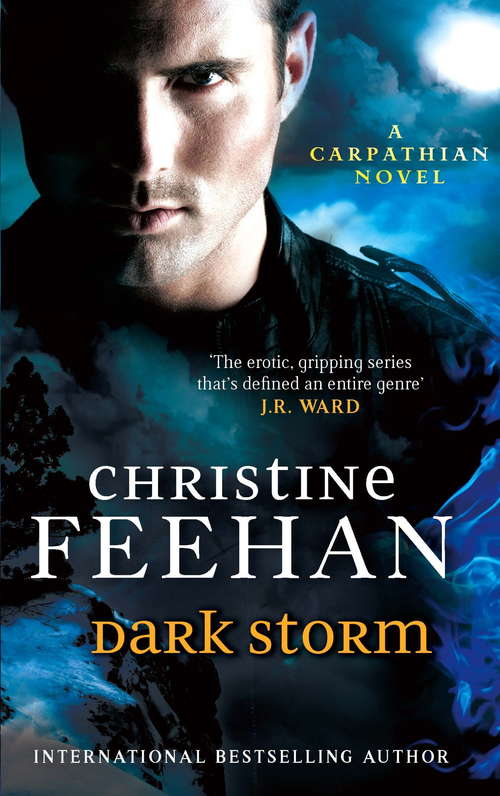 Book cover of Dark Storm: Number 23 in series (Dark Carpathian #23)