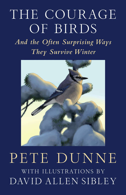 Book cover of The Courage of Birds: And the Often Surprising Ways They Survive Winter