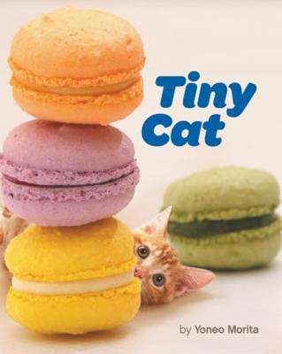 Book cover of Tiny Cat