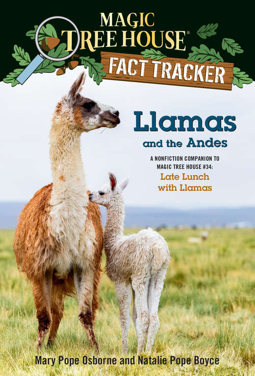 Book cover of Llamas and the Andes: A nonfiction companion to Magic Tree House #34: Late Lunch with Llamas (Magic Tree House (R) Fact Tracker #43)