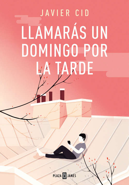 Book cover of Llamarás un domingo por la tarde