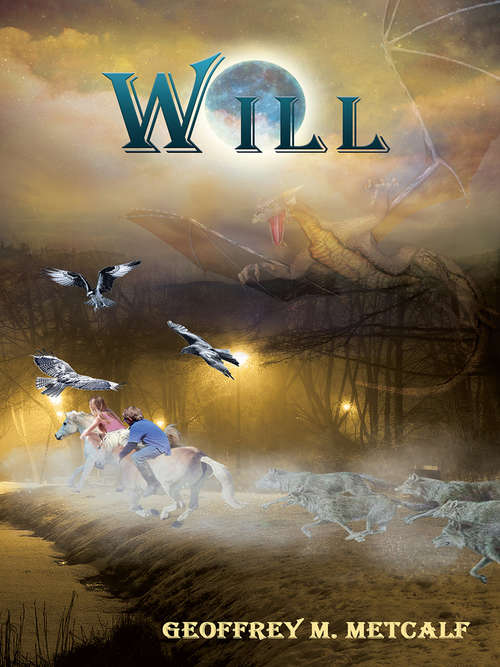 Book cover of Will