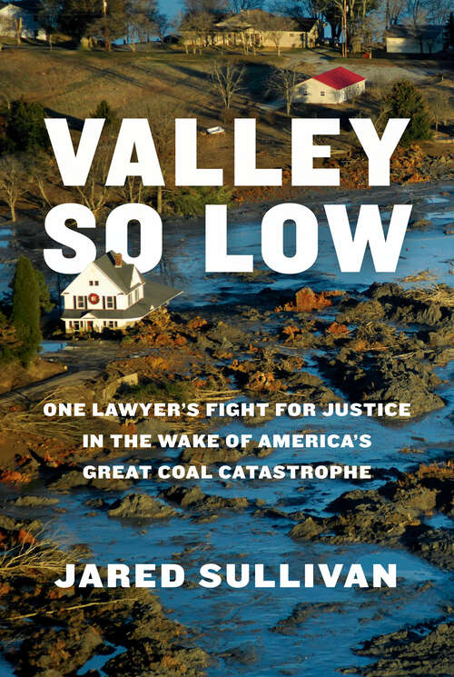 Book cover of Valley So Low: One Lawyer's Fight for Justice in the Wake of America's Great Coal Catastrophe