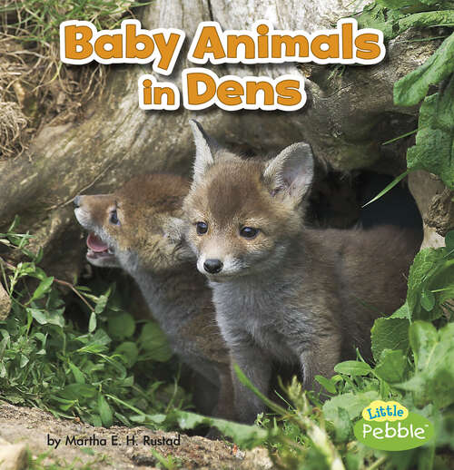 Book cover of Baby Animals in Dens (Baby Animals And Their Homes Ser.)
