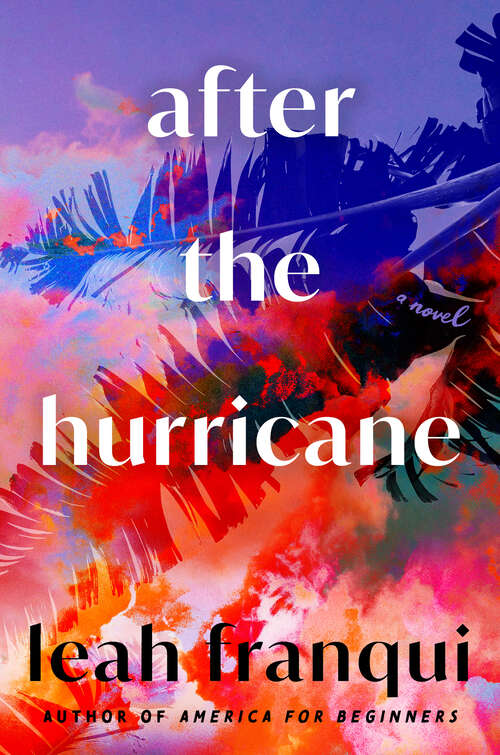 Book cover of After the Hurricane: A Novel