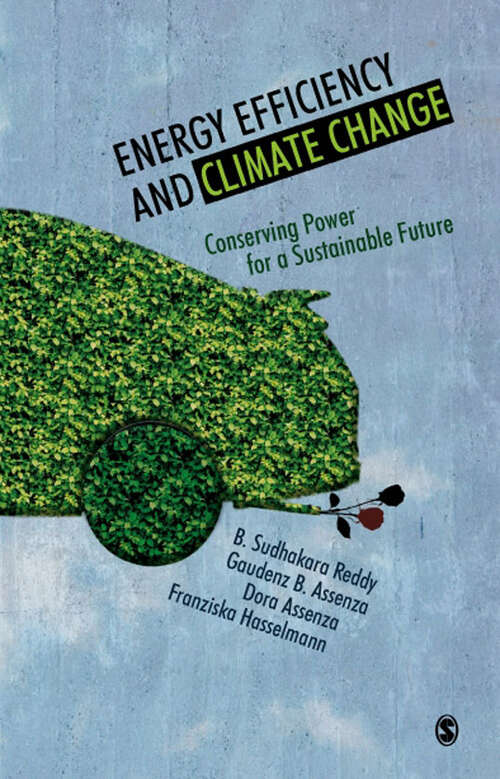 Book cover of Energy Efficiency and Climate Change: Conserving Power for a Sustainable Future (First Edition)