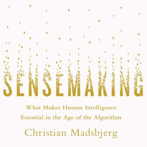 Book cover of Sensemaking: What Makes Human Intelligence Essential in the Age of the Algorithm