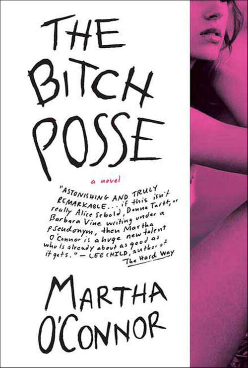 Book cover of The Bitch Posse: A Novel