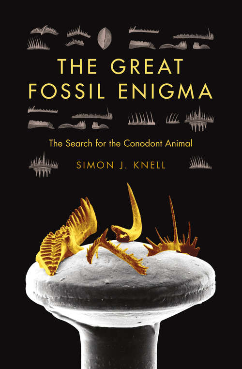 Book cover of The Great Fossil Enigma: The Search for the Conodont Animal (Life of the Past)
