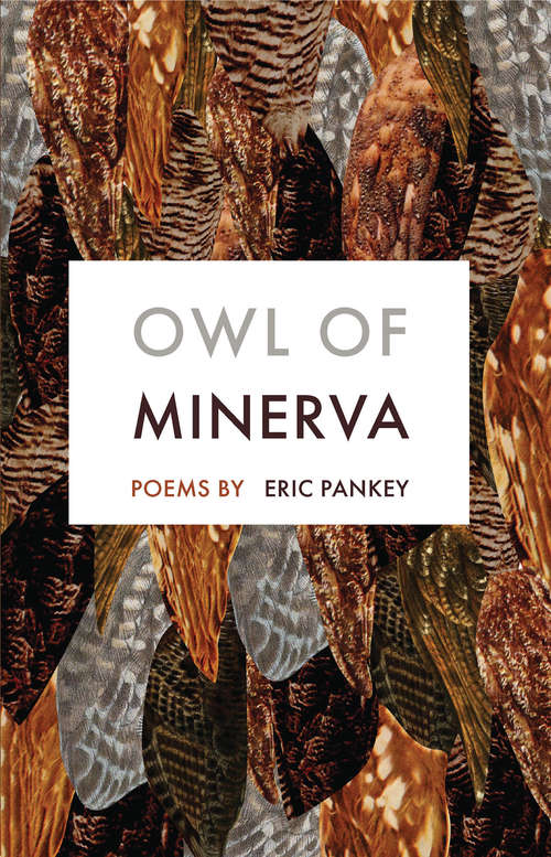 Book cover of Owl of Minerva: Poems