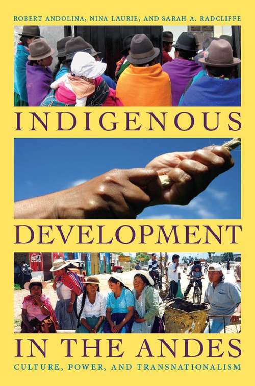 Book cover of Indigenous Development in the Andes: Culture, Power, and Transnationalism