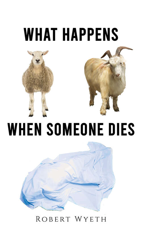 Book cover of What Happens When Someone Dies