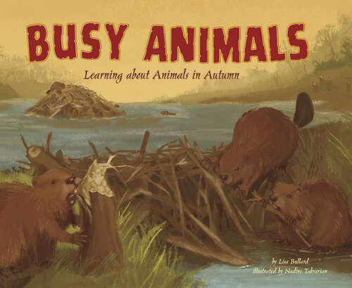 Book cover of Busy Animals: Learning About Animals In Autumn (Autumn Ser.)