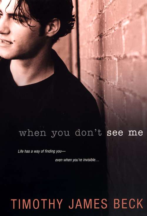 Book cover of When You Don't See Me