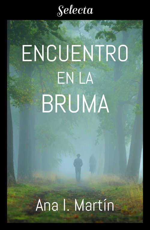 Book cover of Encuentro en la bruma