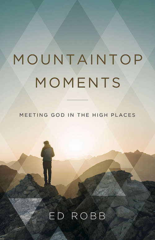 Book cover of Mountaintop Moments Leader Guide: Meeting God in the High Places (Mountaintop Moments)