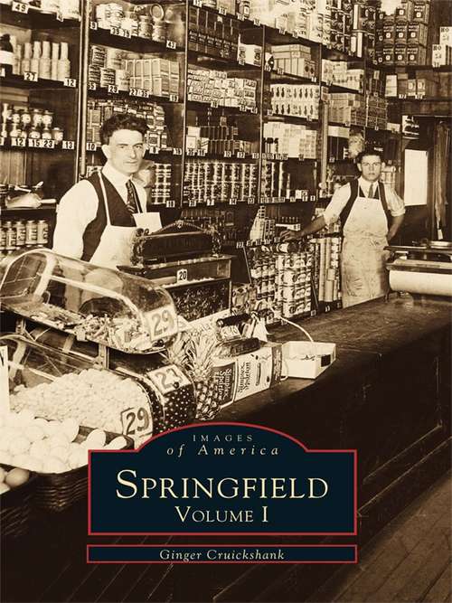 Book cover of Springfield: Volume I