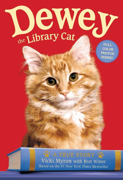 Book cover of Dewey the Library Cat: A True Story