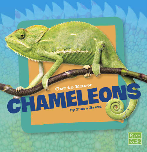 Book cover of Get to Know Chameleons (Get To Know Reptiles Ser.)