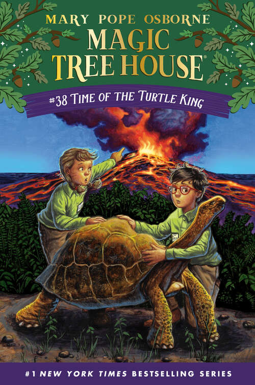 Book cover of Time of the Turtle King (Magic Tree House (R) #38)