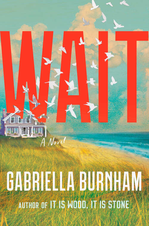 Book cover of Wait: A Novel