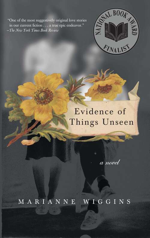 Book cover of Evidence of Things Unseen: A Novel