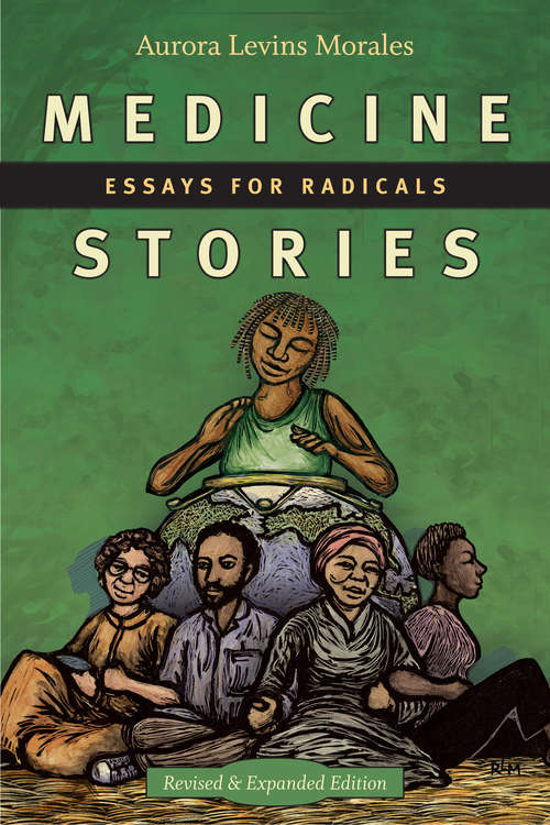 Book cover of Medicine Stories: Essays for Radicals