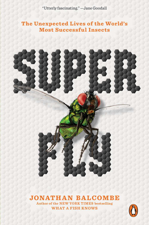 Book cover of Super Fly: The Unexpected Lives of the World's Most Successful Insects