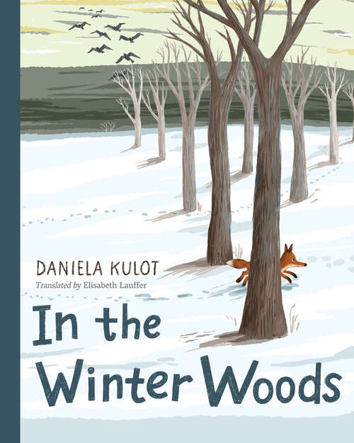 Book cover of In the Winter Woods