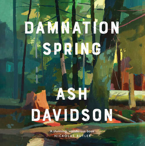 Book cover of Damnation Spring