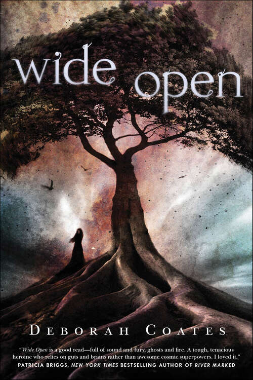 Book cover of Wide Open (Hallie Michaels #1)