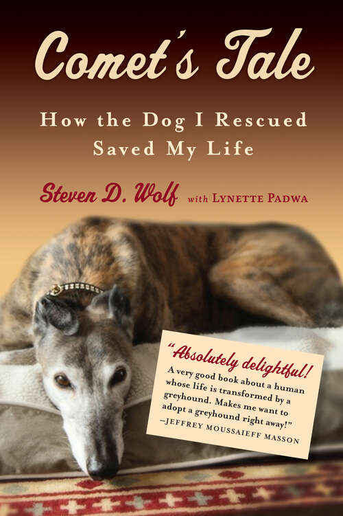 Book cover of Comet's Tale: How the Dog I Rescued Saved My Life