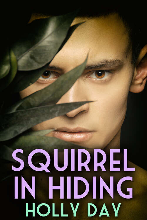 Book cover of Squirrel in Hiding