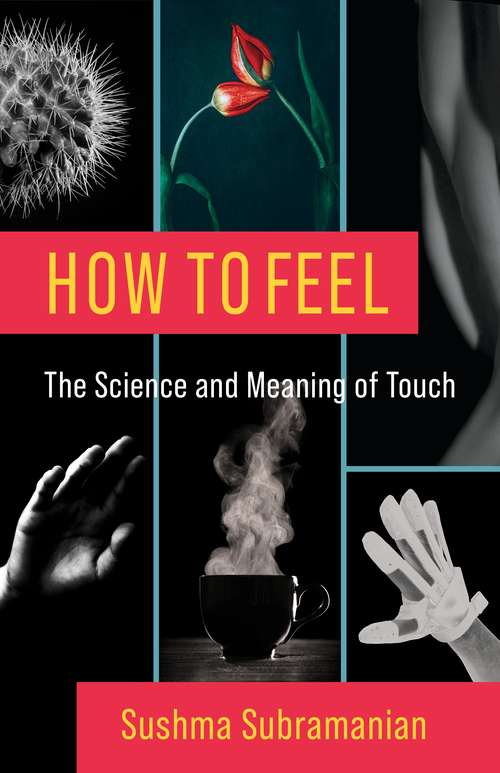 Book cover of How to Feel: The Science and Meaning of Touch