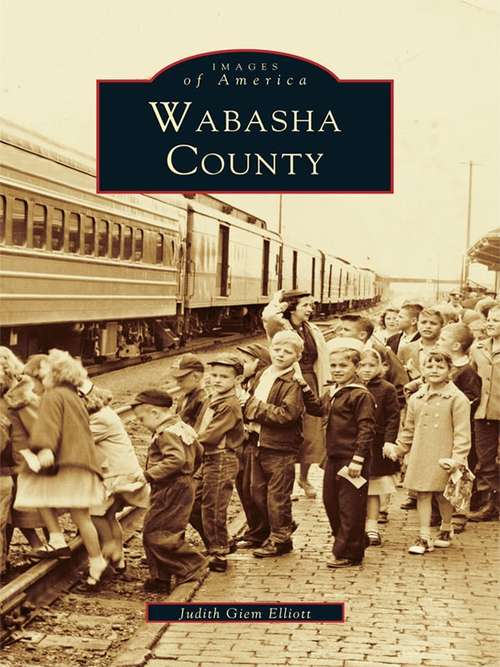 Book cover of Wabasha County