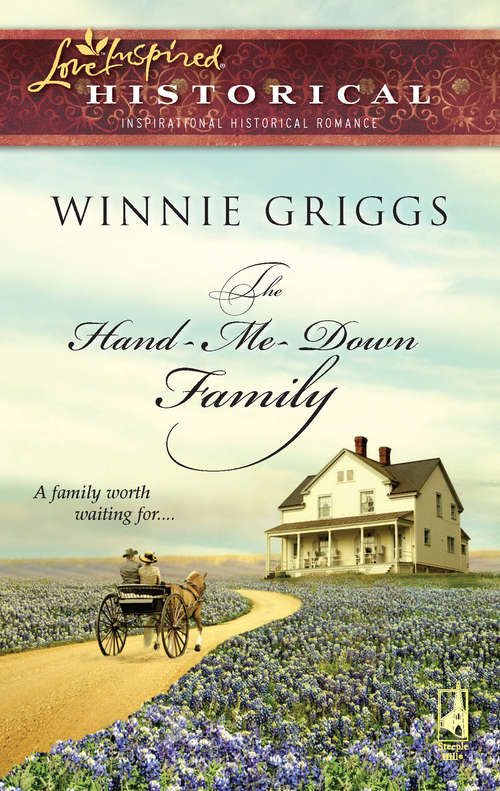 Book cover of The Hand-Me-Down Family