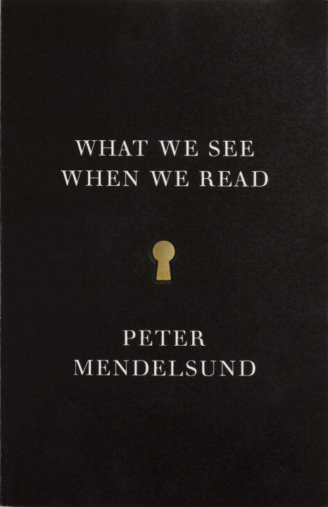 Book cover of What We See When We Read