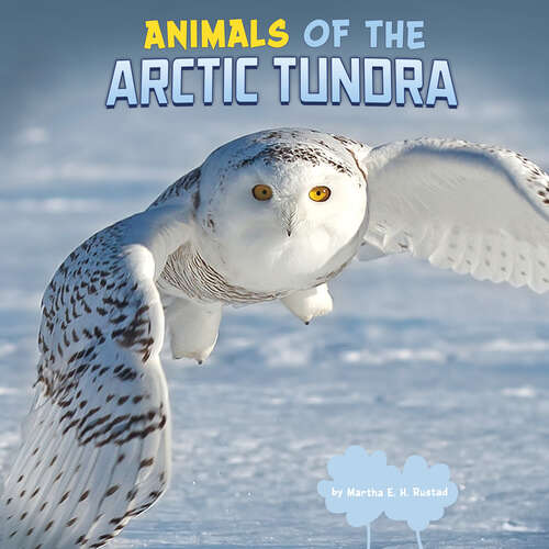 Book cover of Animals of the Arctic Tundra (Wild Biomes)