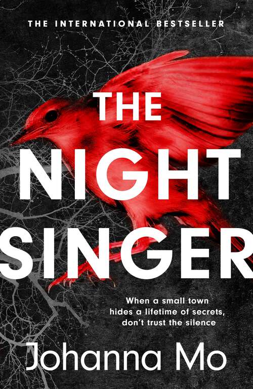 Book cover of The Night Singer