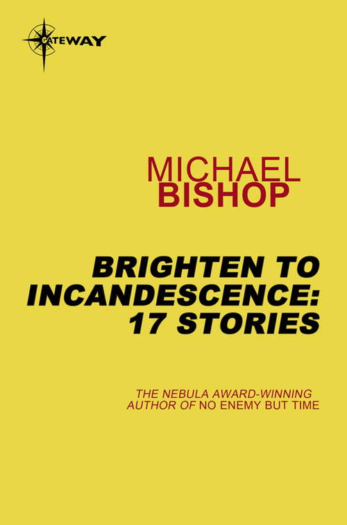 Book cover of Brighten to Incandescence: 17 Stories