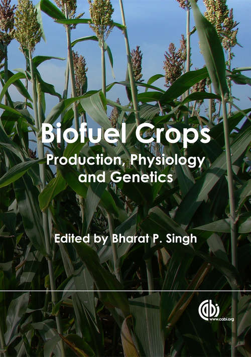 Book cover of Biofuel Crops: Production, Physiology and Genetics