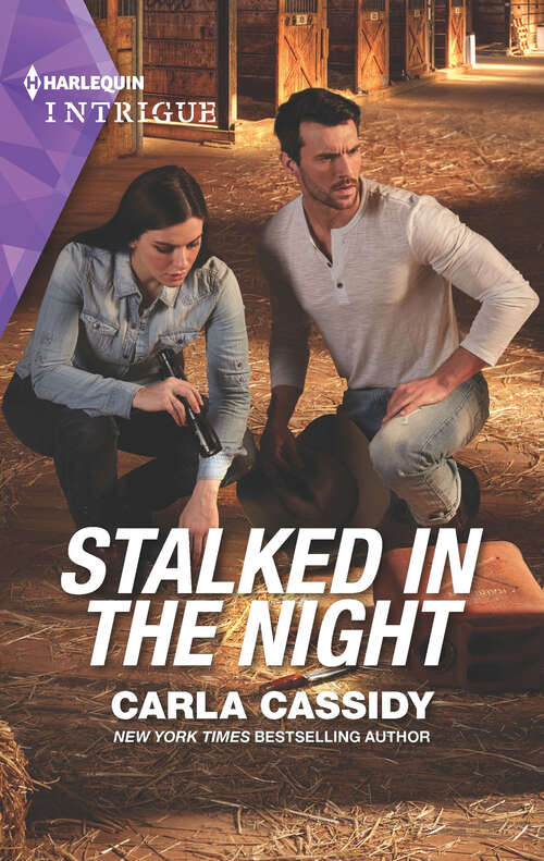 Book cover of Stalked in the Night (Original)