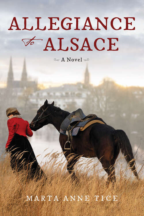 Book cover of Allegiance to Alsace