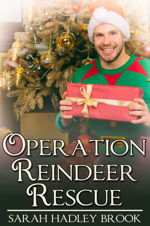 Book cover of Operation Reindeer Rescue